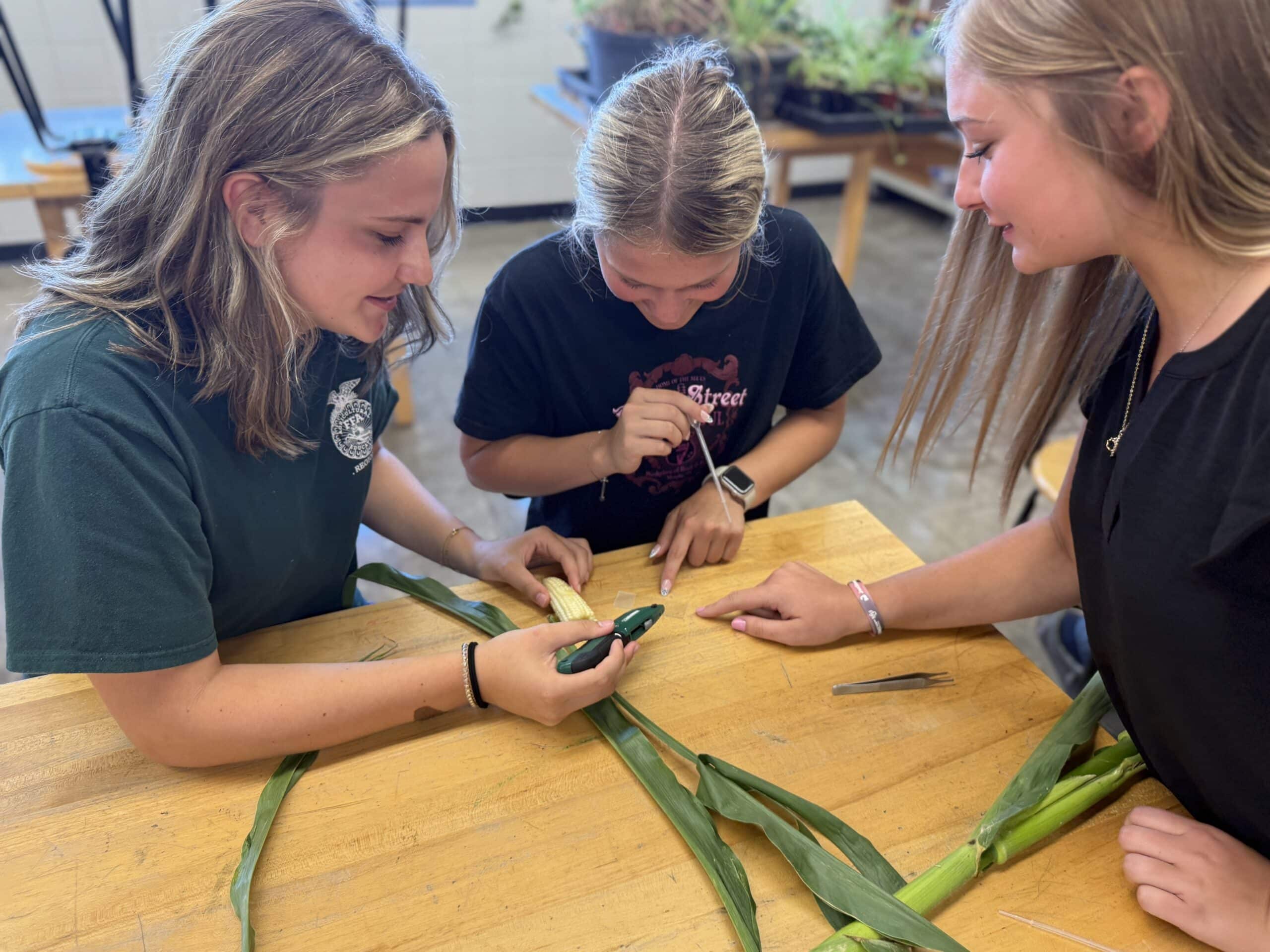 teaching with greenery