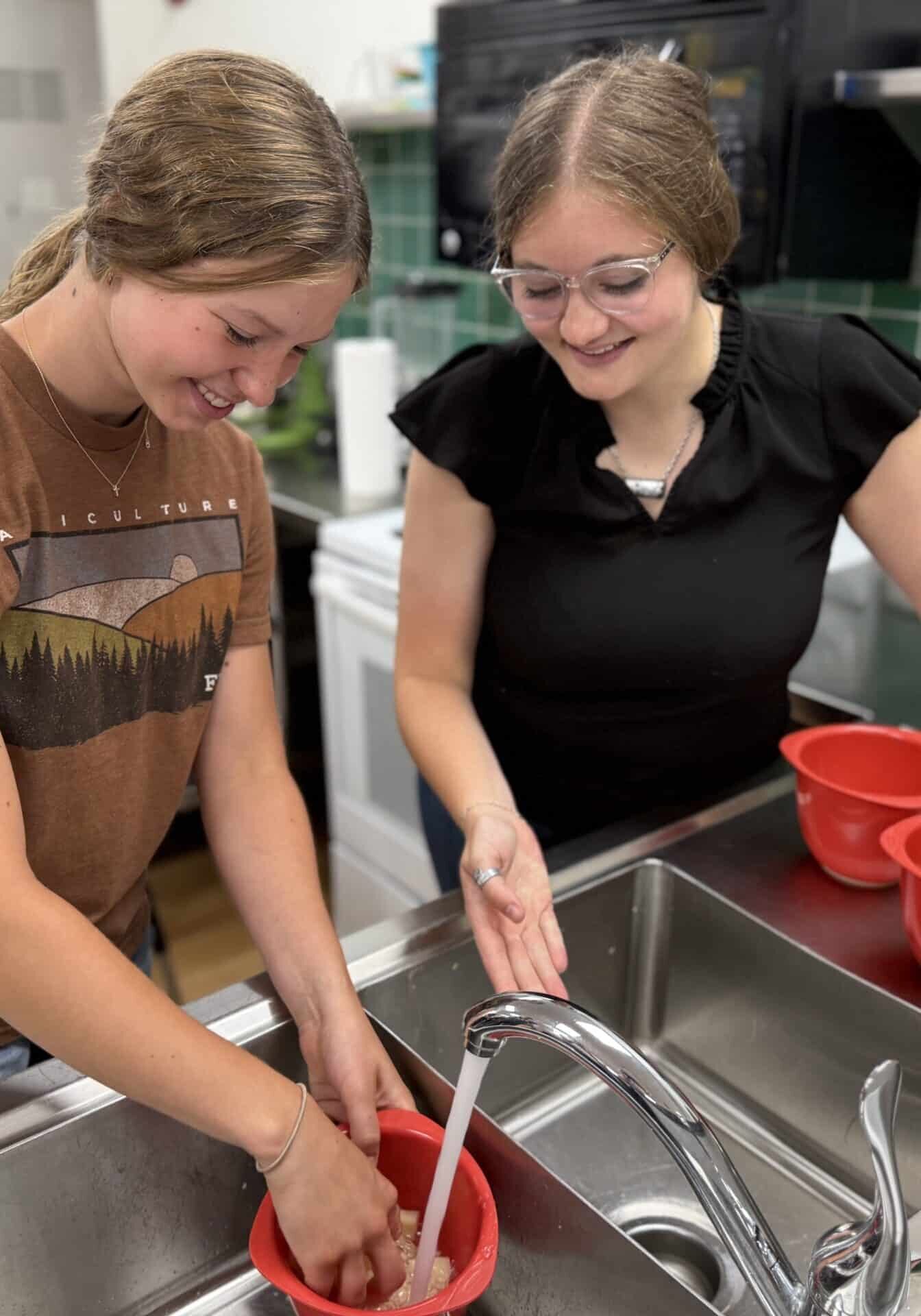 food science food science