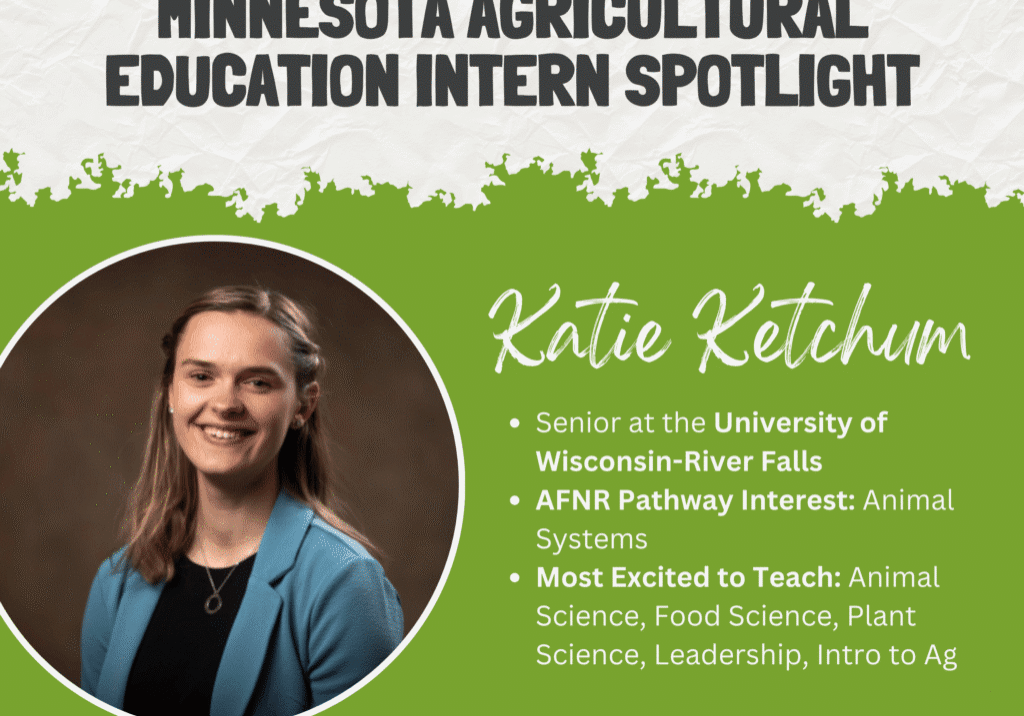 Katie Intern Spotlight