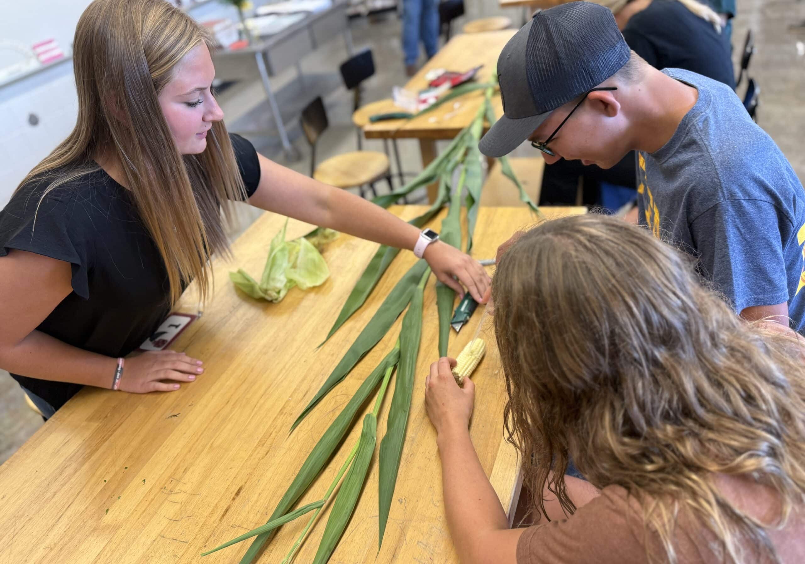 plant science plant science